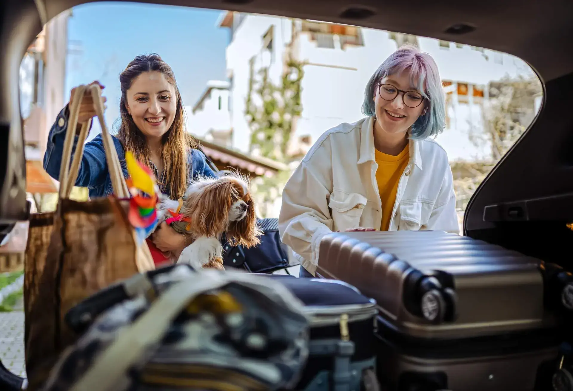 DEST_TURKEY_THEME_CAR_ROADTRIP_FAMILY_PETS_DOG_GettyImages