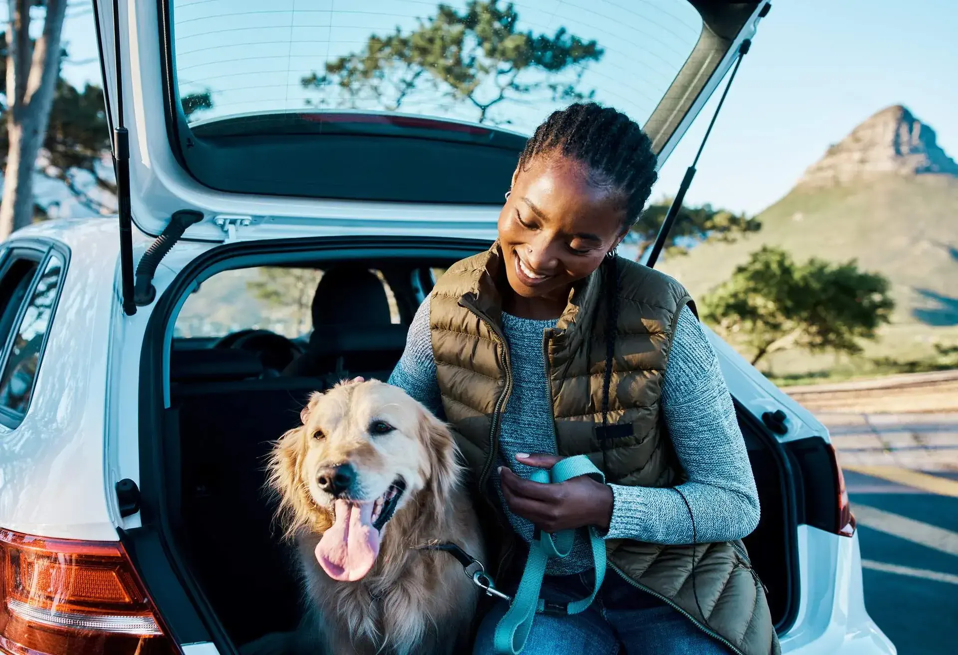 dest_south-africa_capetown_theme_roadtrip_car_person_pets_dog_gettyimage