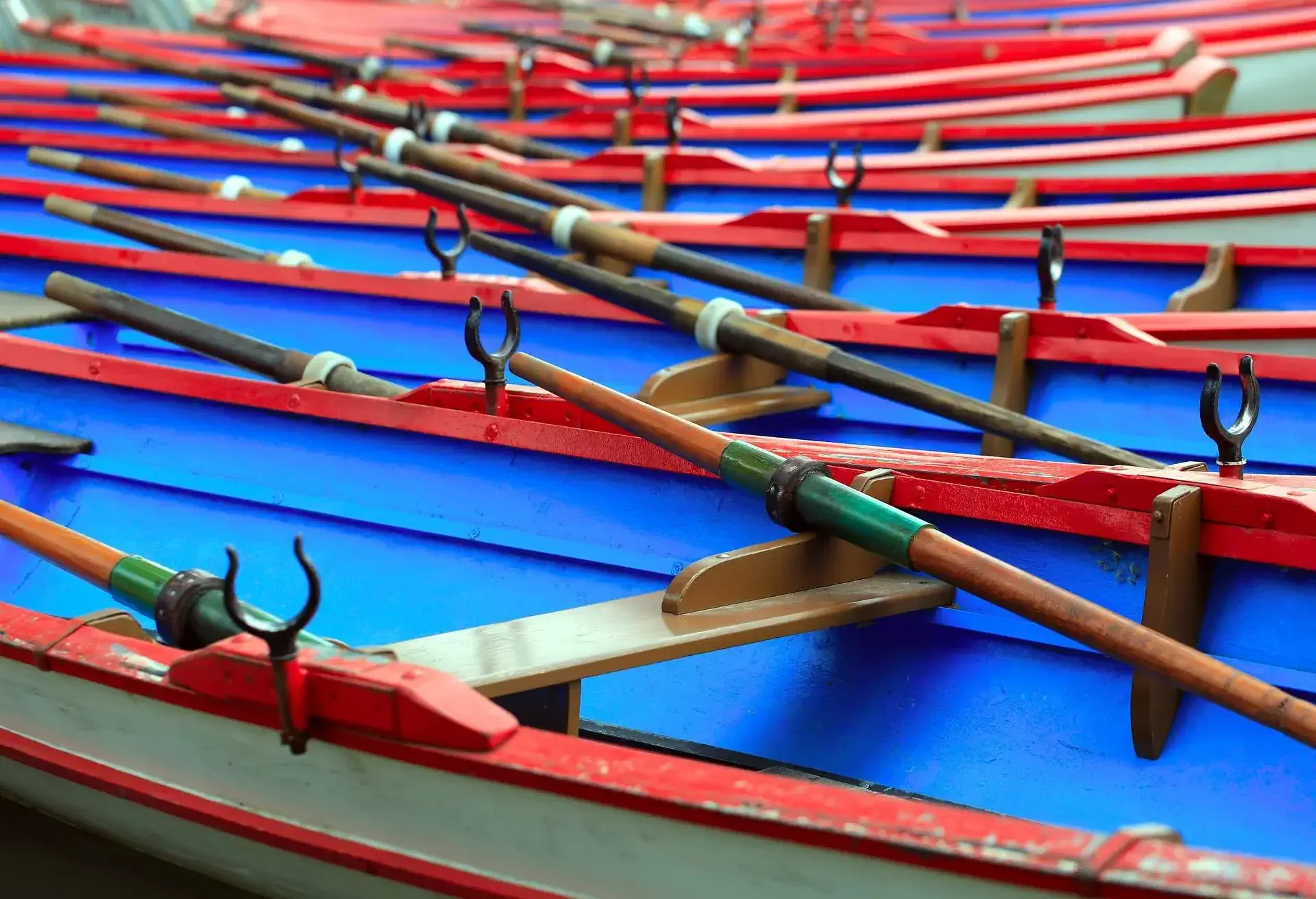 Boats in the harbor