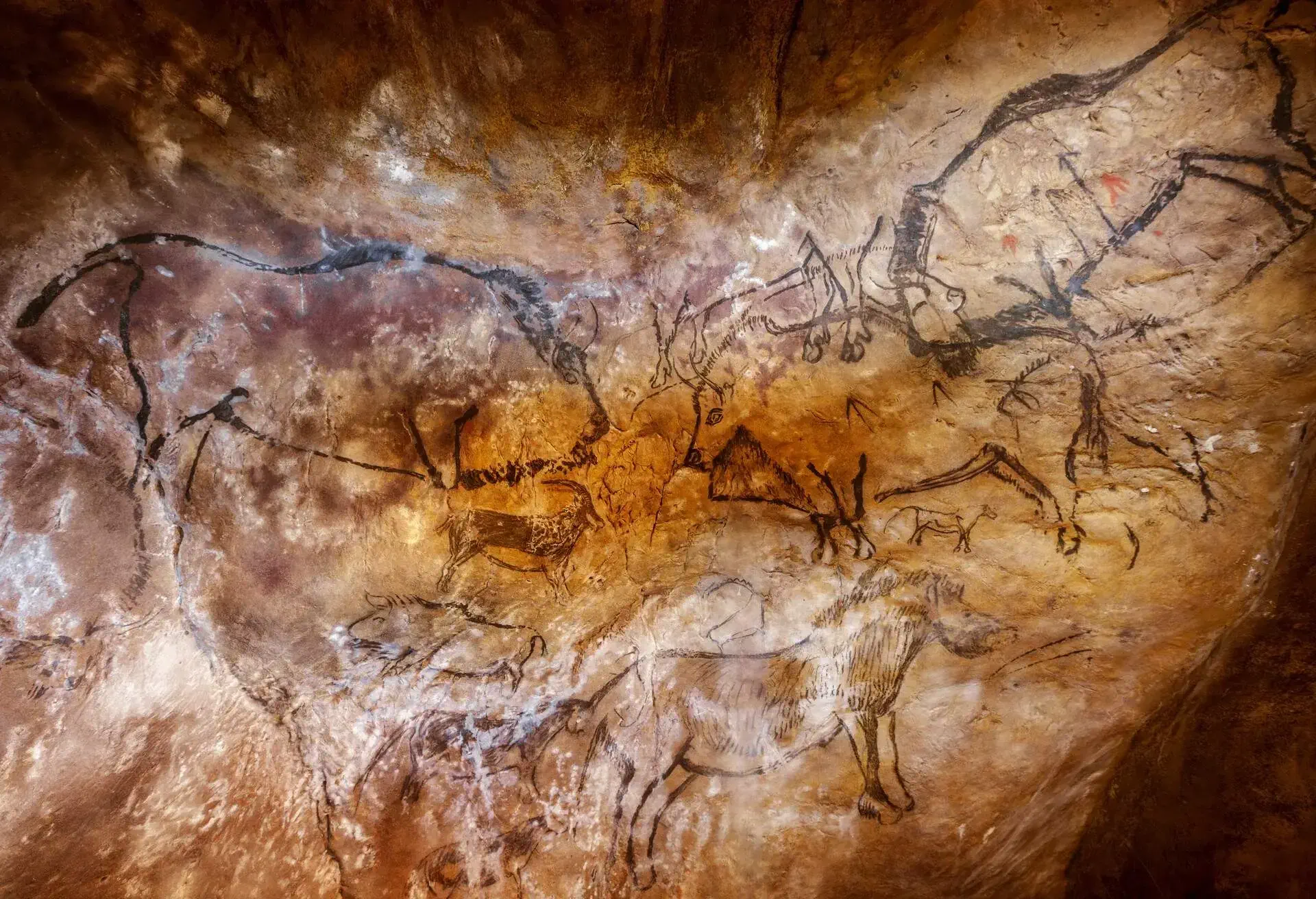 Niaux cave in Ariege .French Pyrenees. Replica in Prehistoric Park of Teverga. Asturias.