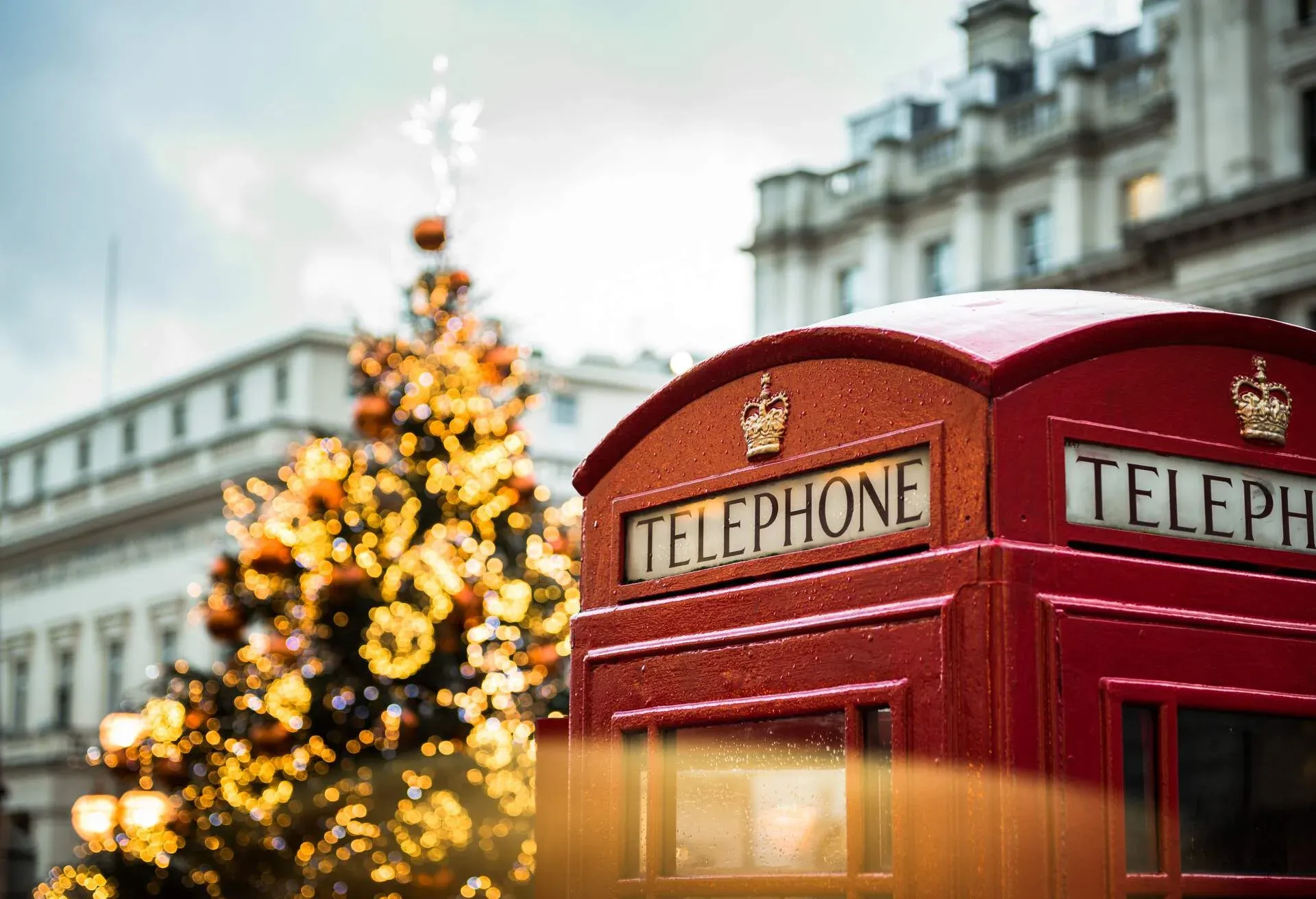 Illuminated Christmas tree in a city street at dusk with a red telephone box, Mayfair, London, UK.