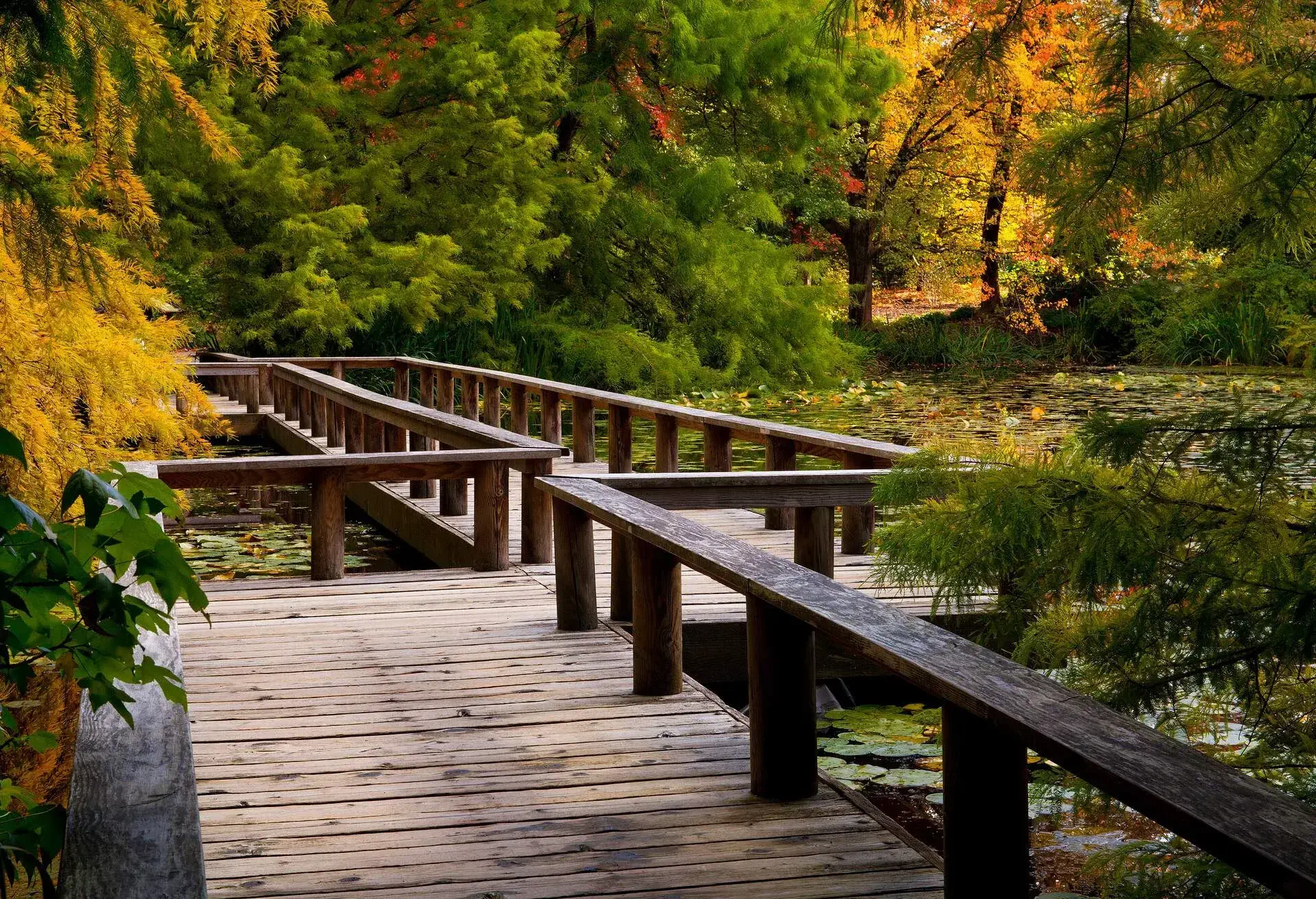 Boardwalk through VanDusen Botanical Garden in Vancouver, BC, Canada