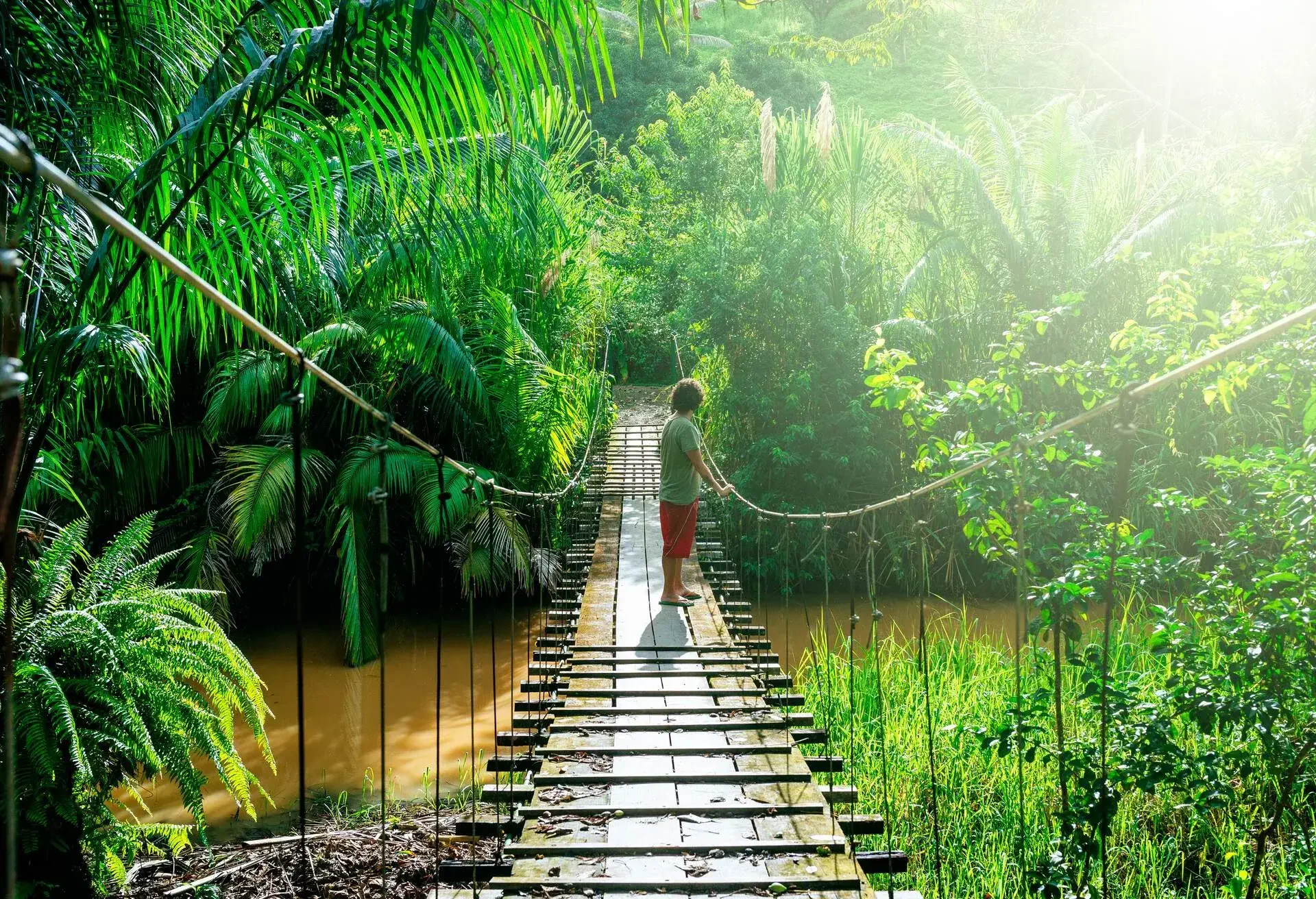 Man crossing a suspension bridge in Costa Rica, near Corcovado