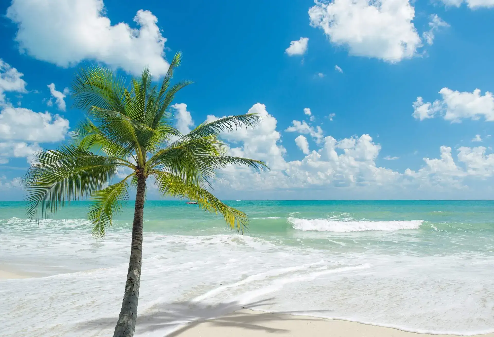 DEST_THAILAND_KOHSAMUI_Shutterstock_Premier_295394069