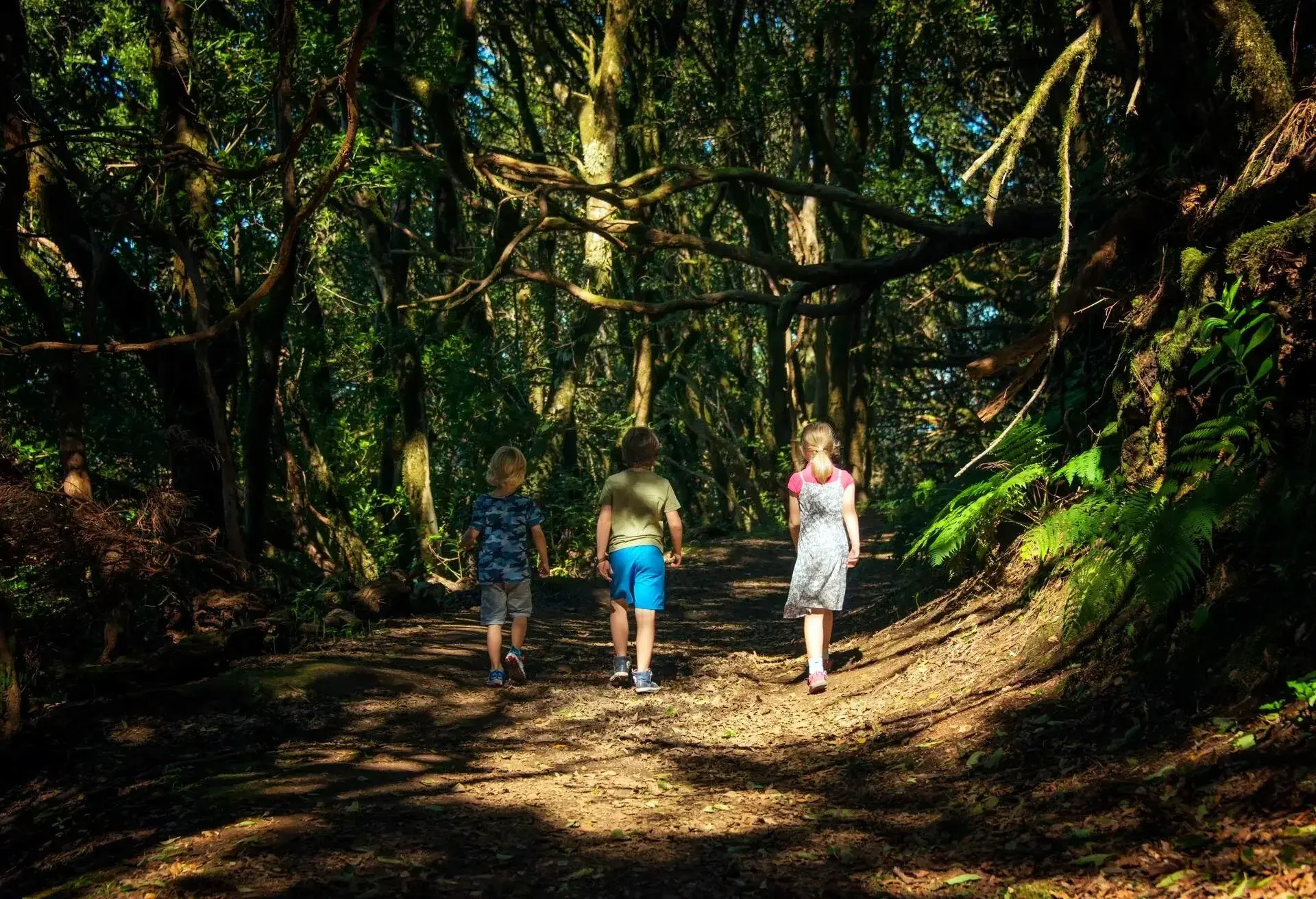 DEST_SPAIN_CANARY_ISLANDS_TENERIFE_ANAGA-RURAL-PARK_THEME_PEOPLE_KIDS_CHILDREN_GettyImages-861628986