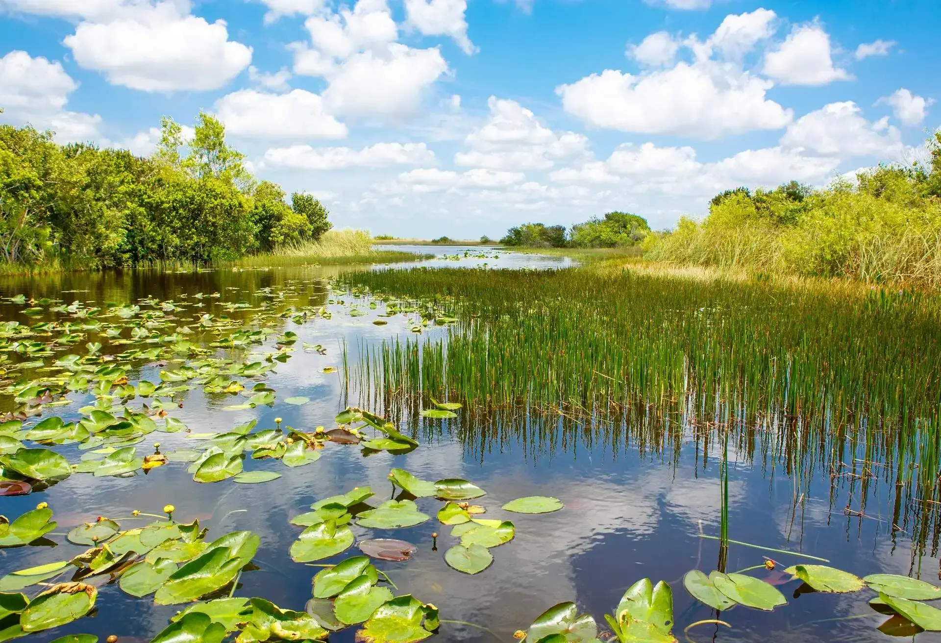 DEST_FLORIDA_EVERGLADES NATIONAL PARK_GettyImages-627297432