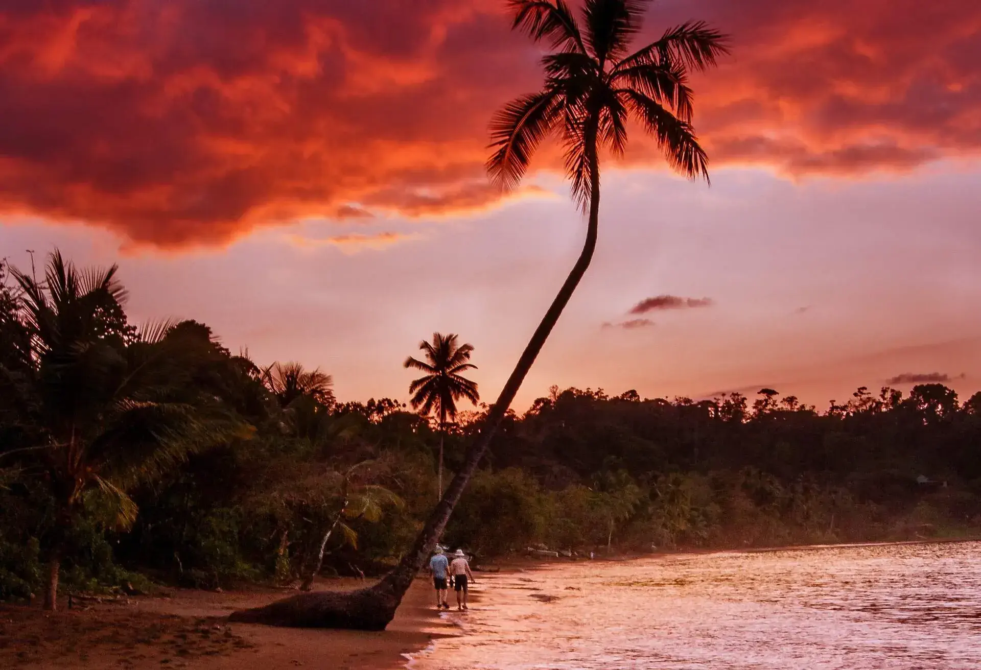 dest_costa-rica_osa-peninsula_drake-bay_theme_beach_gettyimages-492455865_universal_within-usage-period_45340