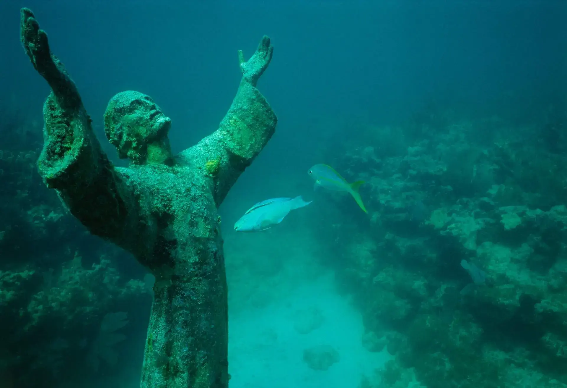DEST_USA_FLORIDA_KEY-LARGO_JOHN-PENNEKAMP-CORAL-REEF-STATE-PARK_GettyImages-520266322