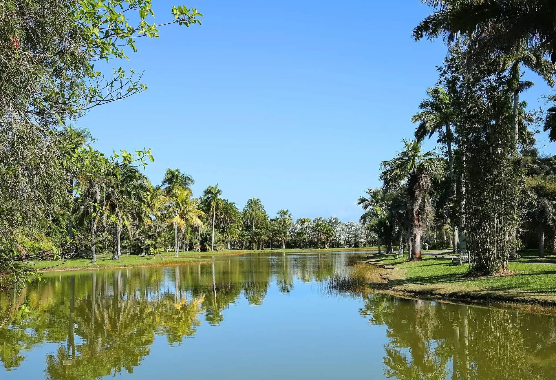 DEST_USA_FLORIDA_FAIRCHILD-BOTANICAL-GARDEN_shutterstock-portfolio_547226008