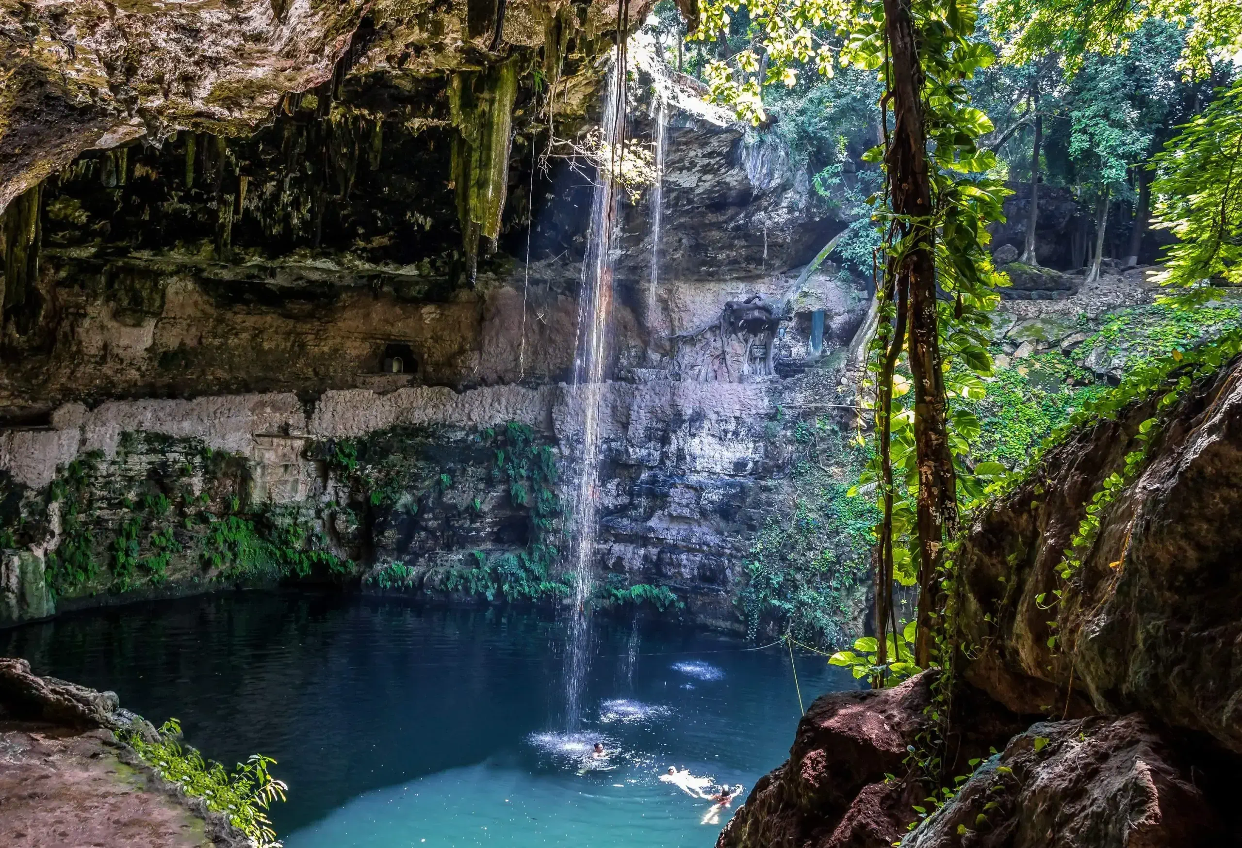 Aerial view of people in a swimming hole with crystal clear waters shrouded in vegetation.