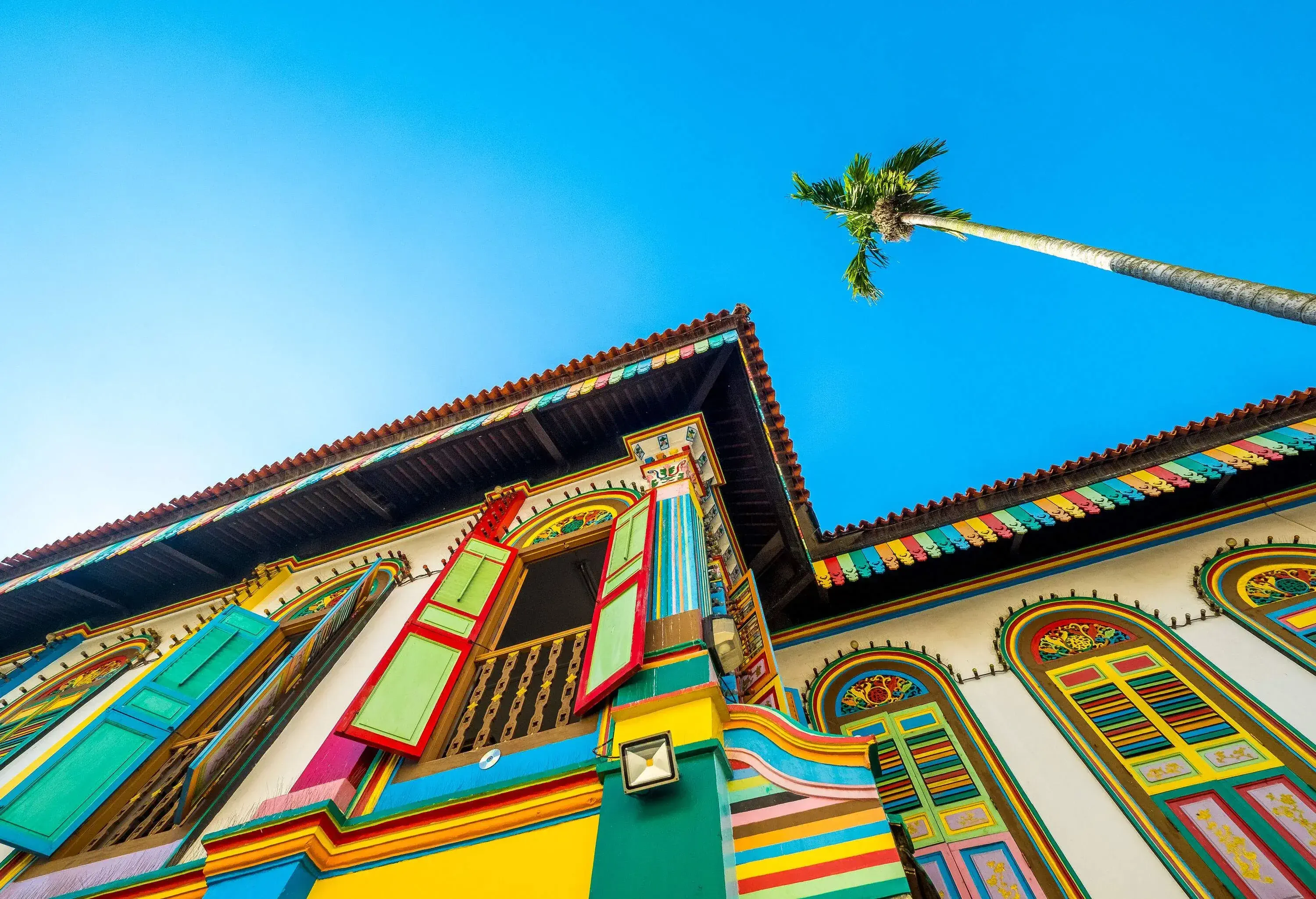 Beautifully coloured painted facade of a shophouse with clear blue sky and coconut tree in Little India district - Singapore