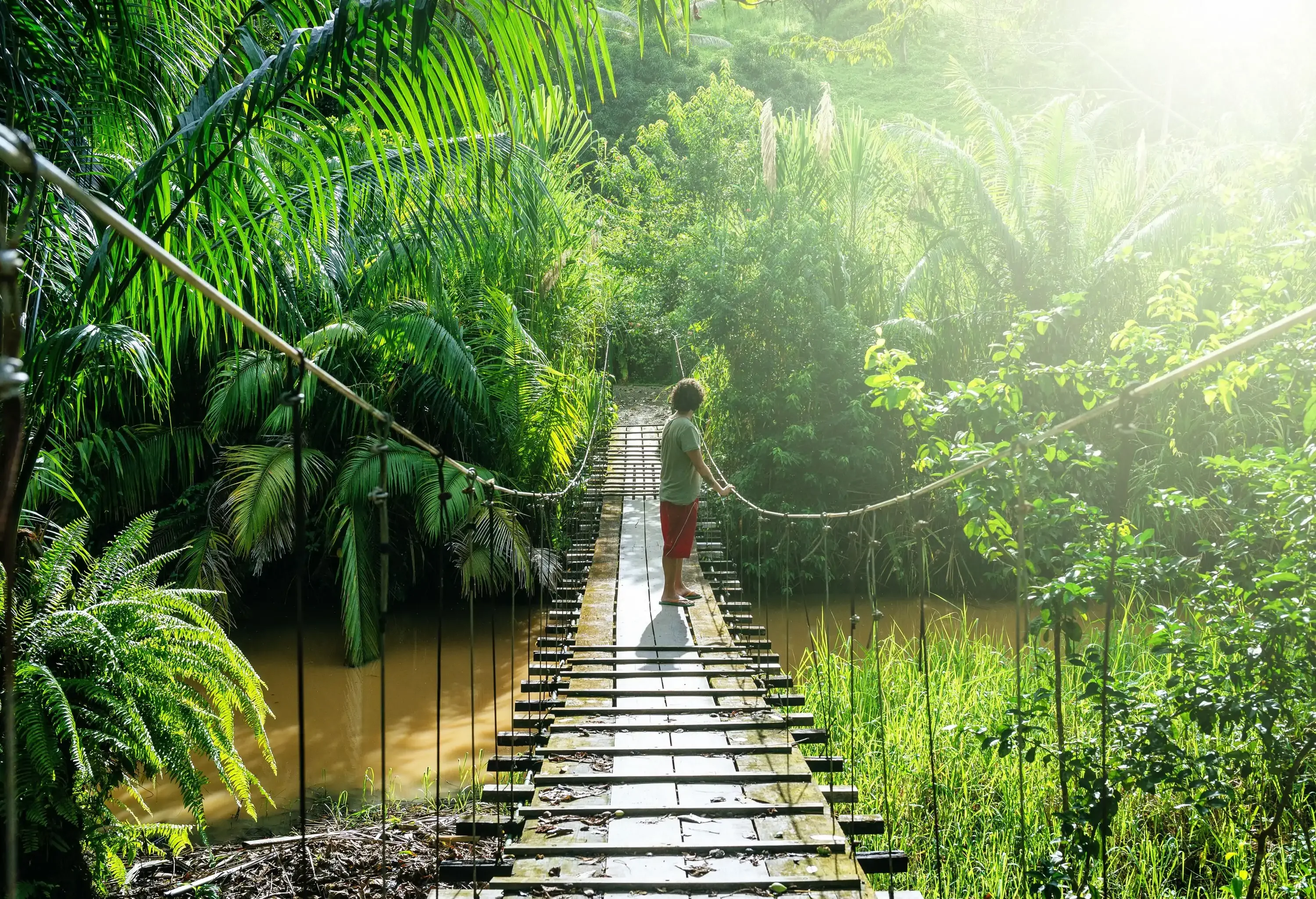 A man stands on a hanging bridge across a calm river bordered by lush vegetation.