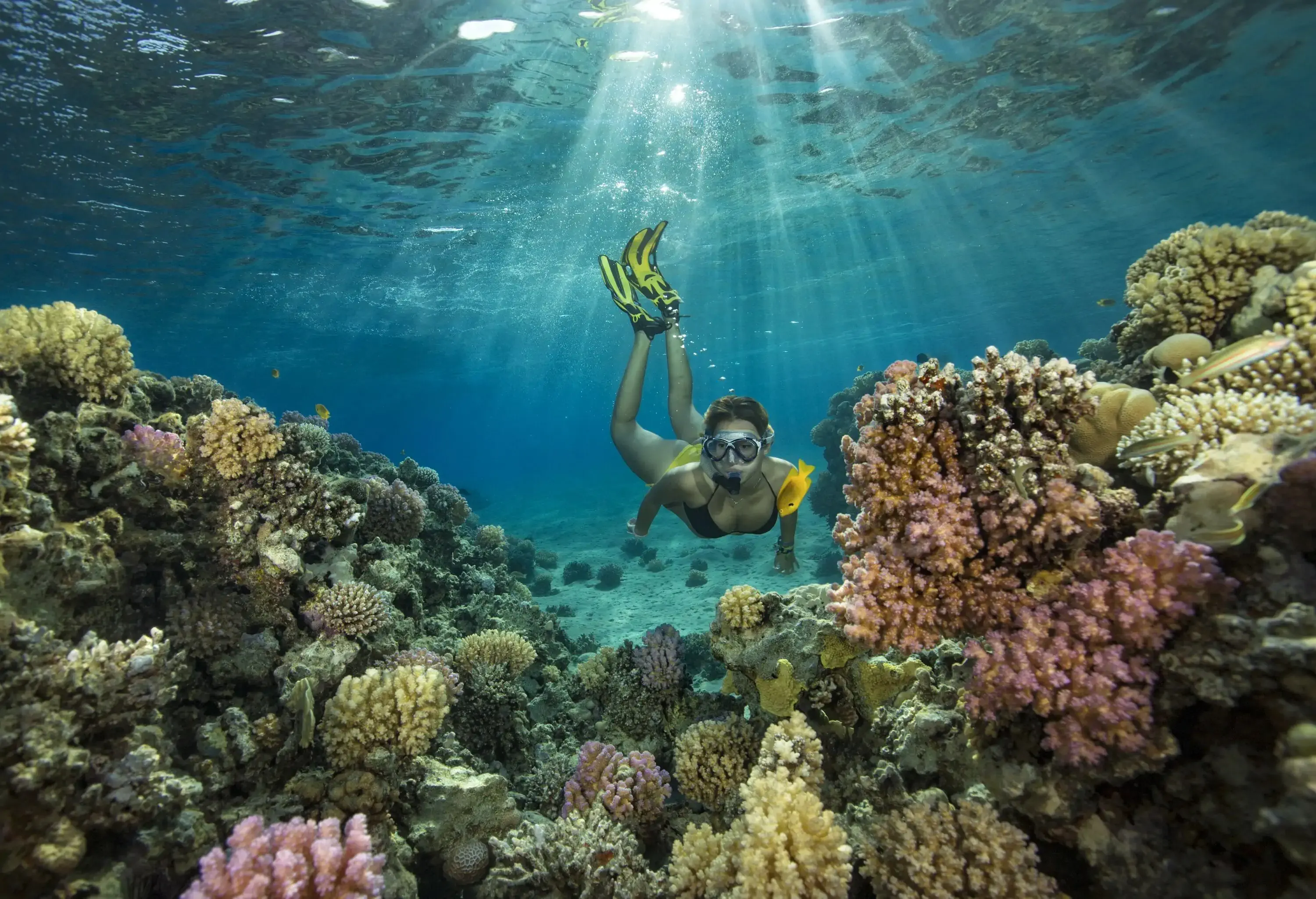 Red Sea, Hurghada, woman snorkelling by coral reef