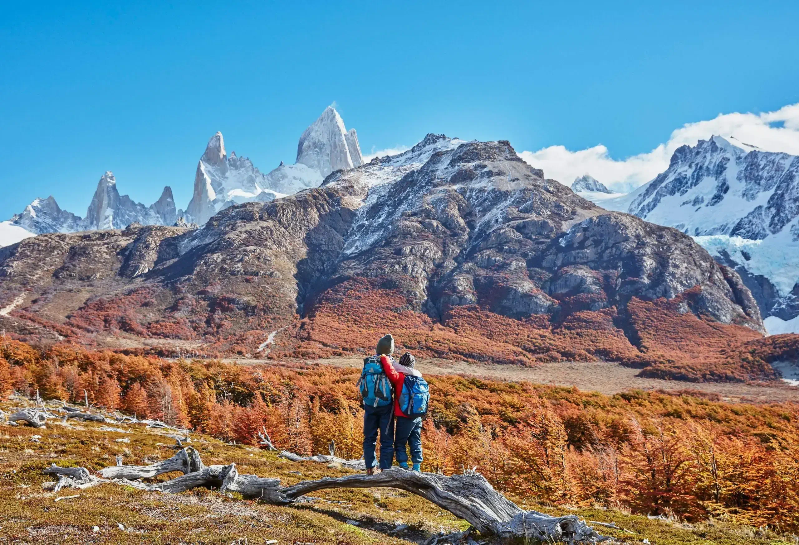 Two kids with hiking backpacks embrace and stand on a dead branch, while gazing at the forest and snow-capped mountain ranges.