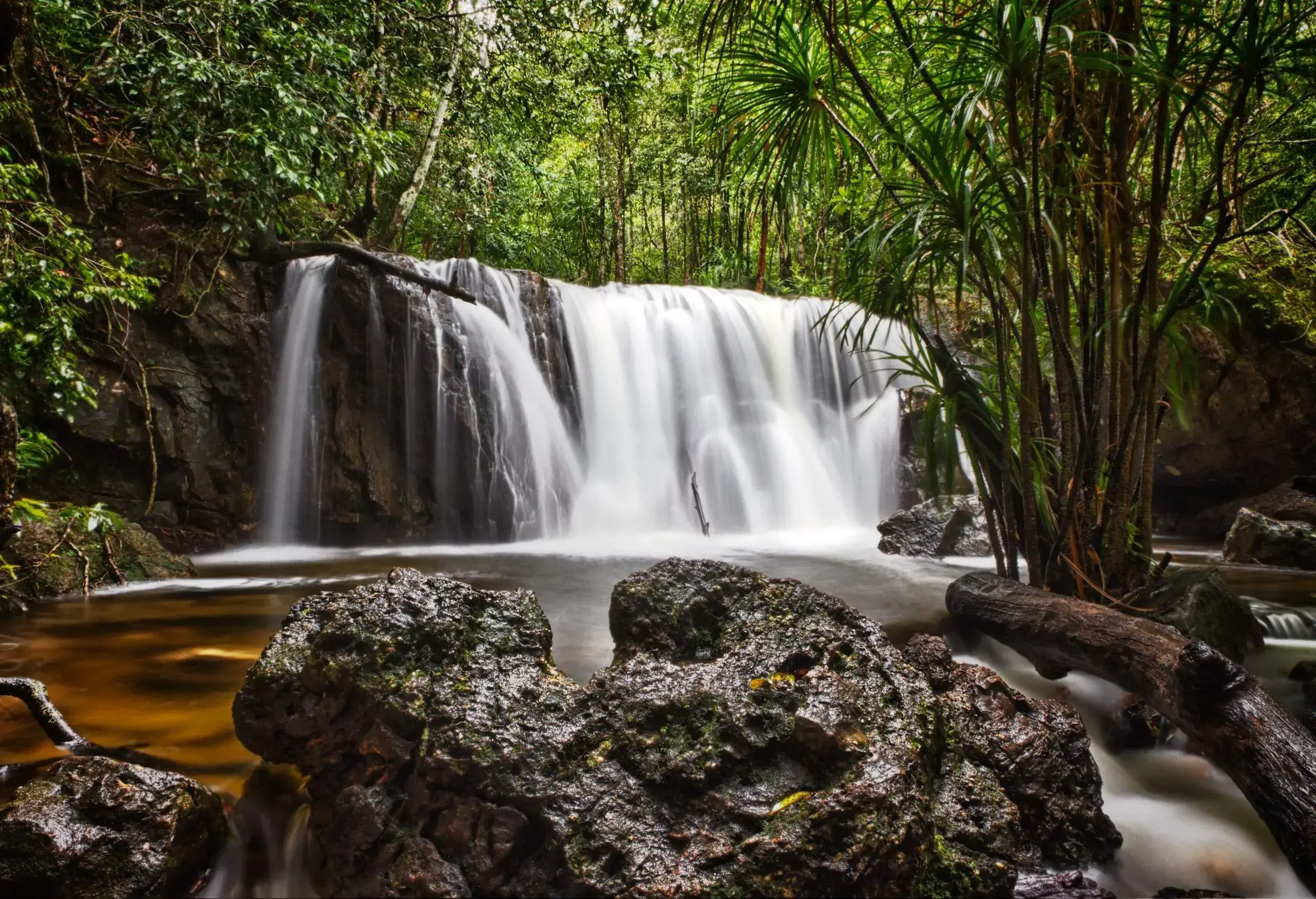 A small curtain-like waterfall surrounded by tropical evergreens and rocks.