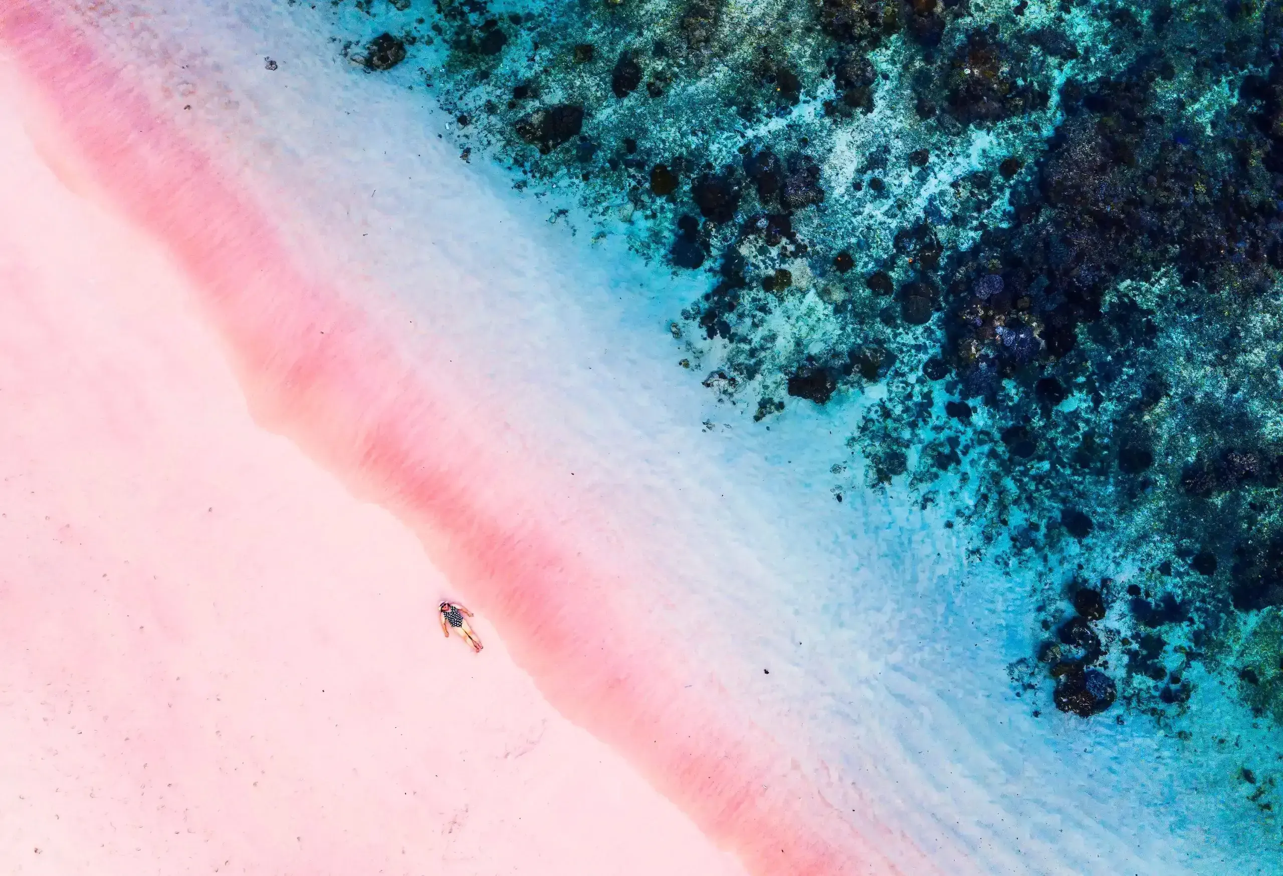 A person in swimsuit lies on the shore of a pink beach with azure waters.