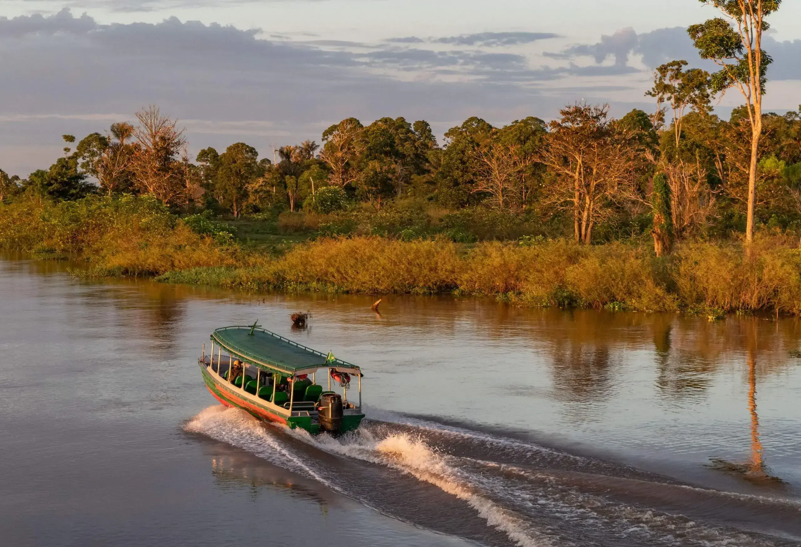 An express passenger boat on a river surrounded by its forested shore.