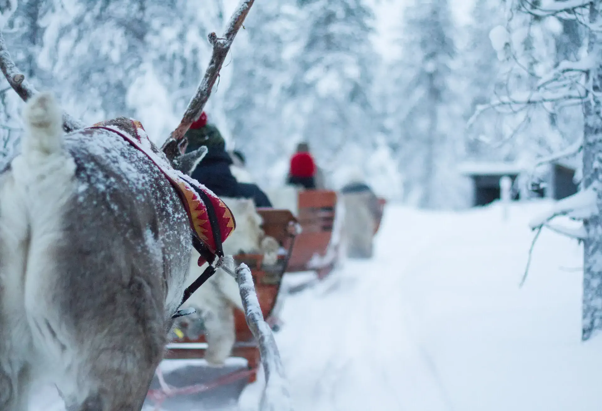 dest_finland_lapland_gettyimages-875646894_universal_within-usage-period_45697