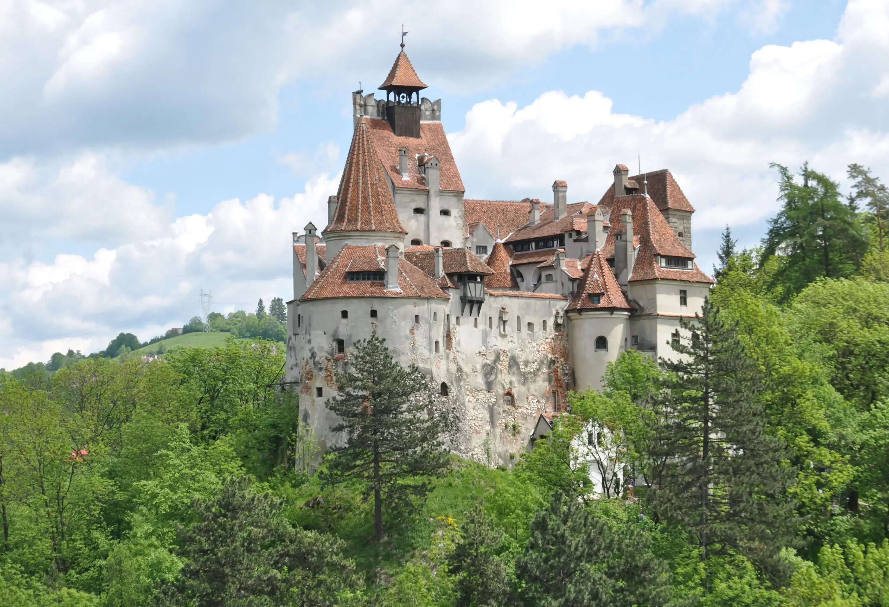 An ancient castle enveloped by dense foliage, its weathered facade gently crumbling.