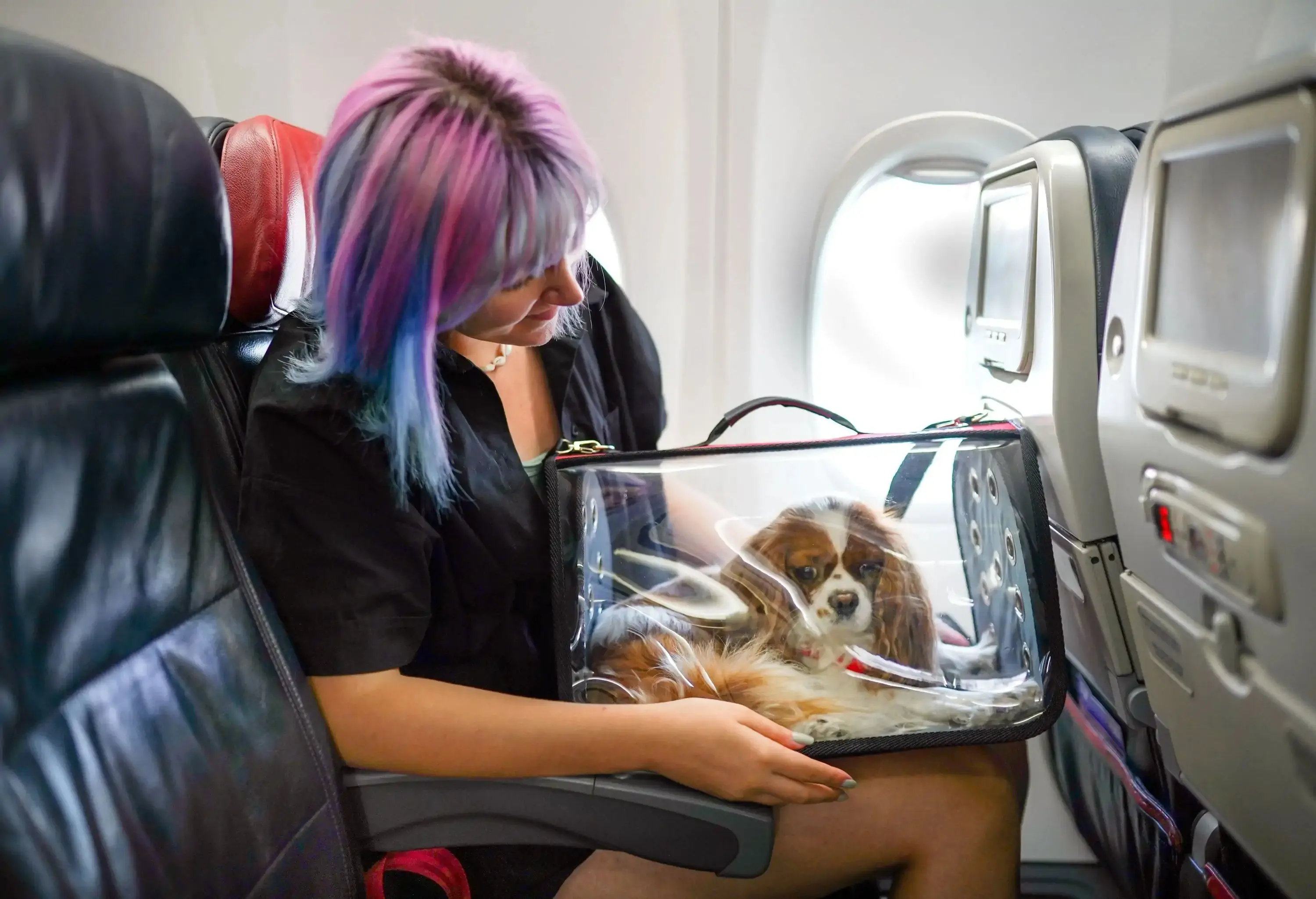 A women holding a small dog on her lap on a plane
