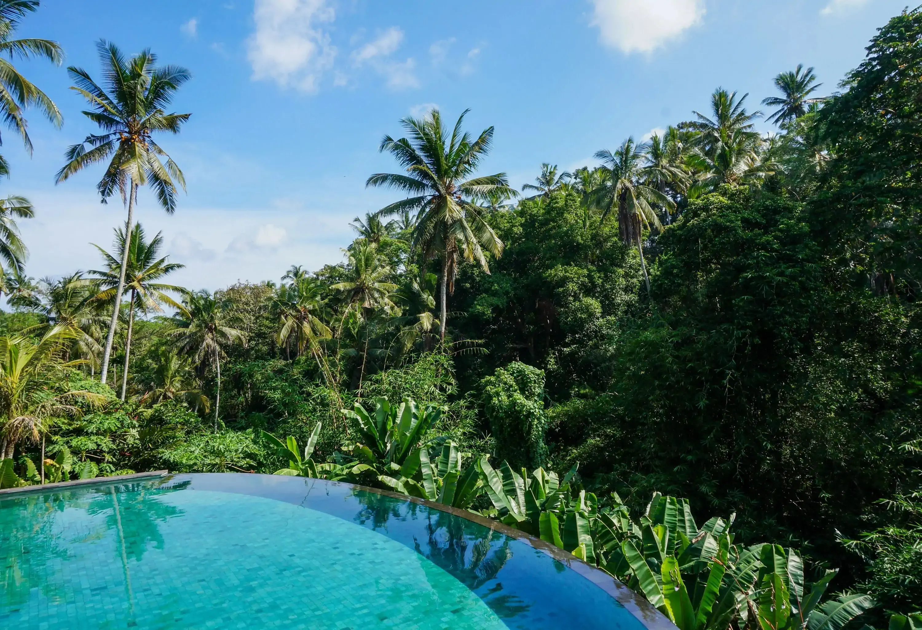 An infinity pool with overlooking views of a tropical jungle.
