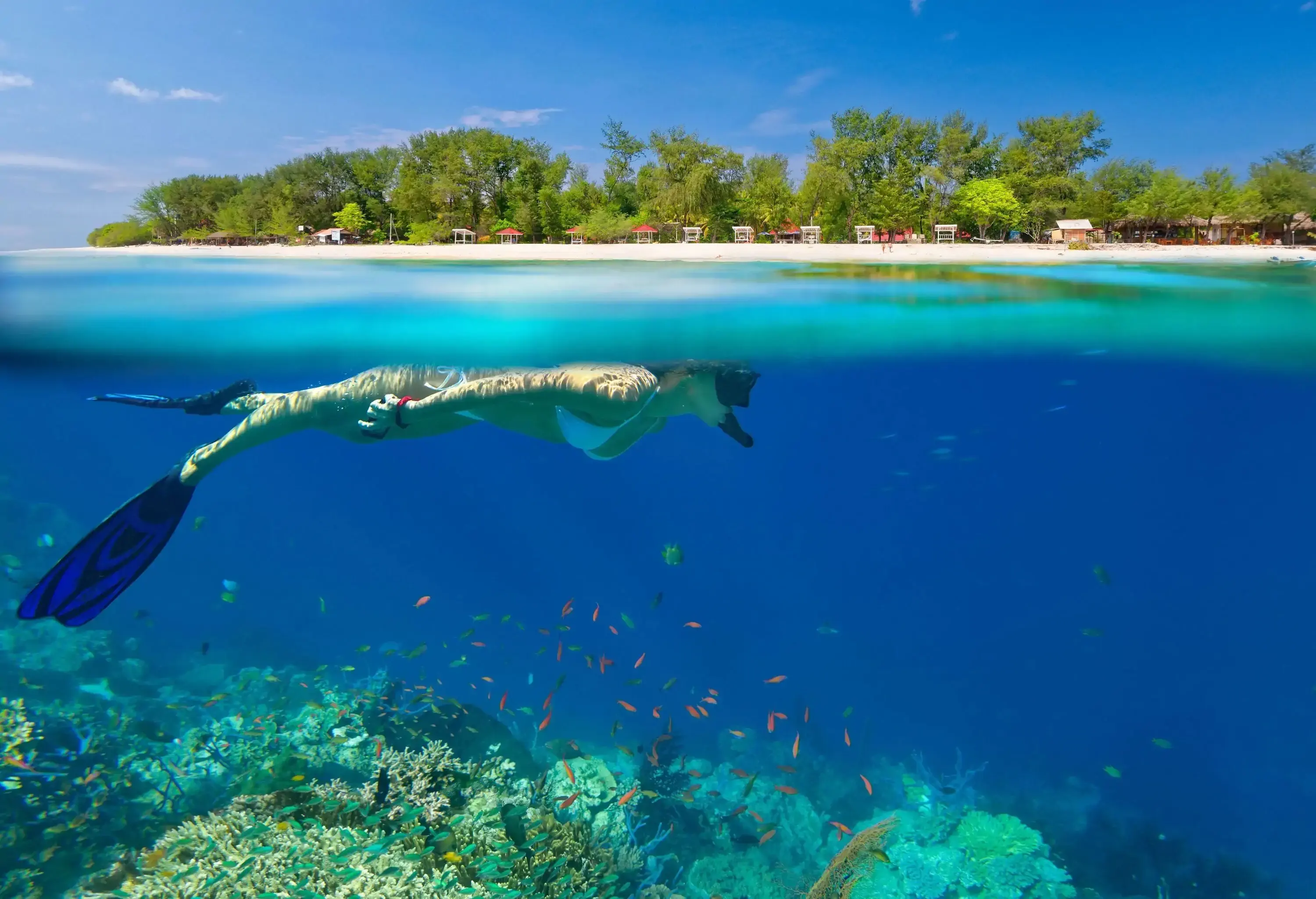 A person with snorkelling mask and flippers swims above the coral reefs with fish.