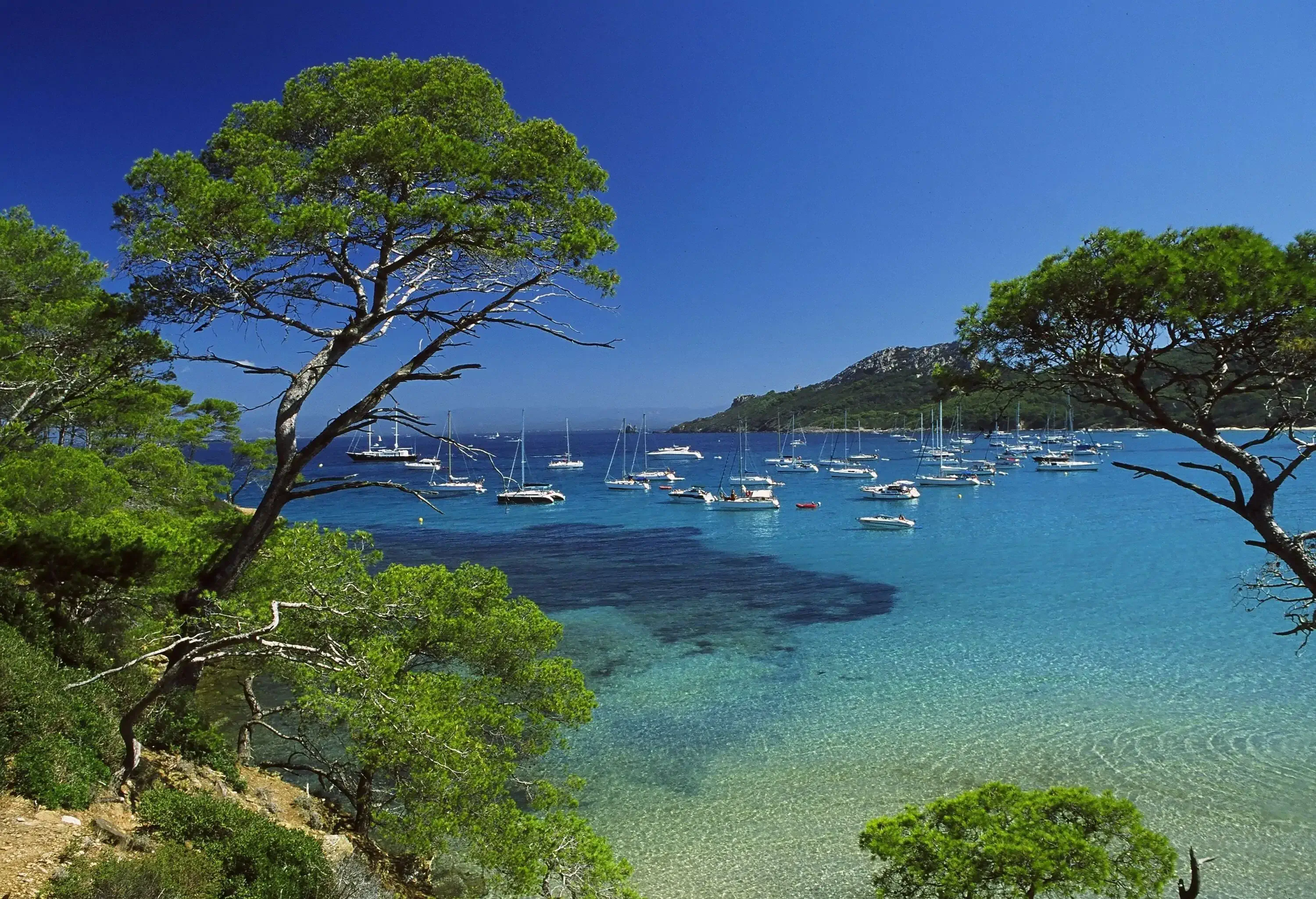 White boats moored on crystal clear turquoise waters surrounded by forested mountains against the clear blue sky.