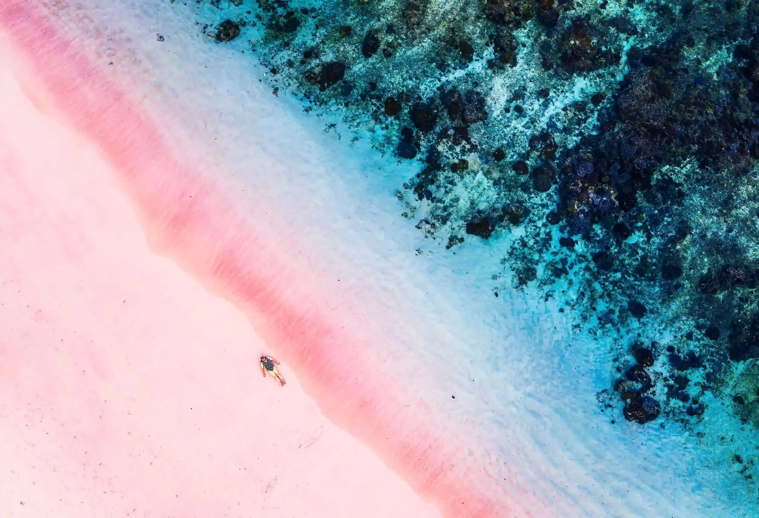 A person in swimsuit lies on the shore of a pink beach with azure waters.