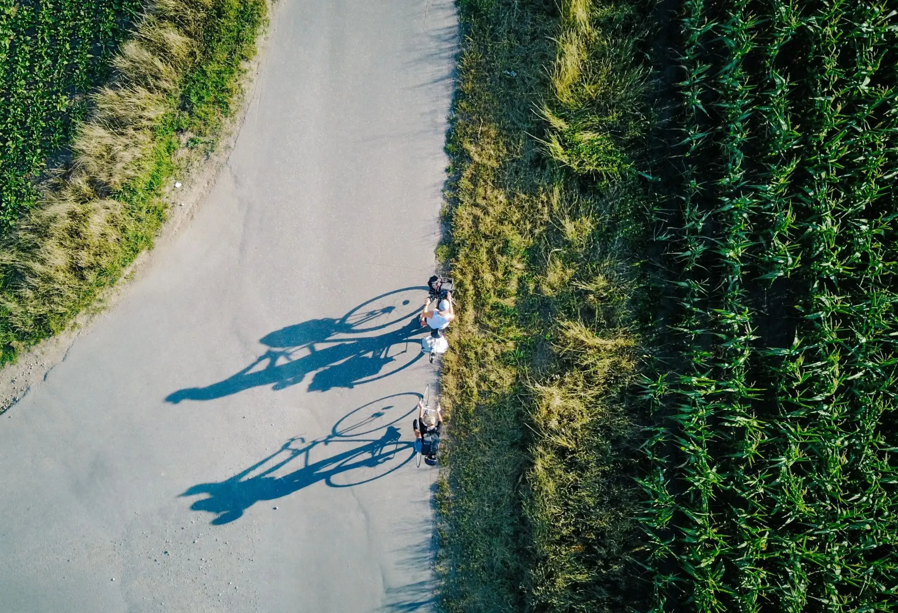 Two cyclists riding down a grass-lined road.