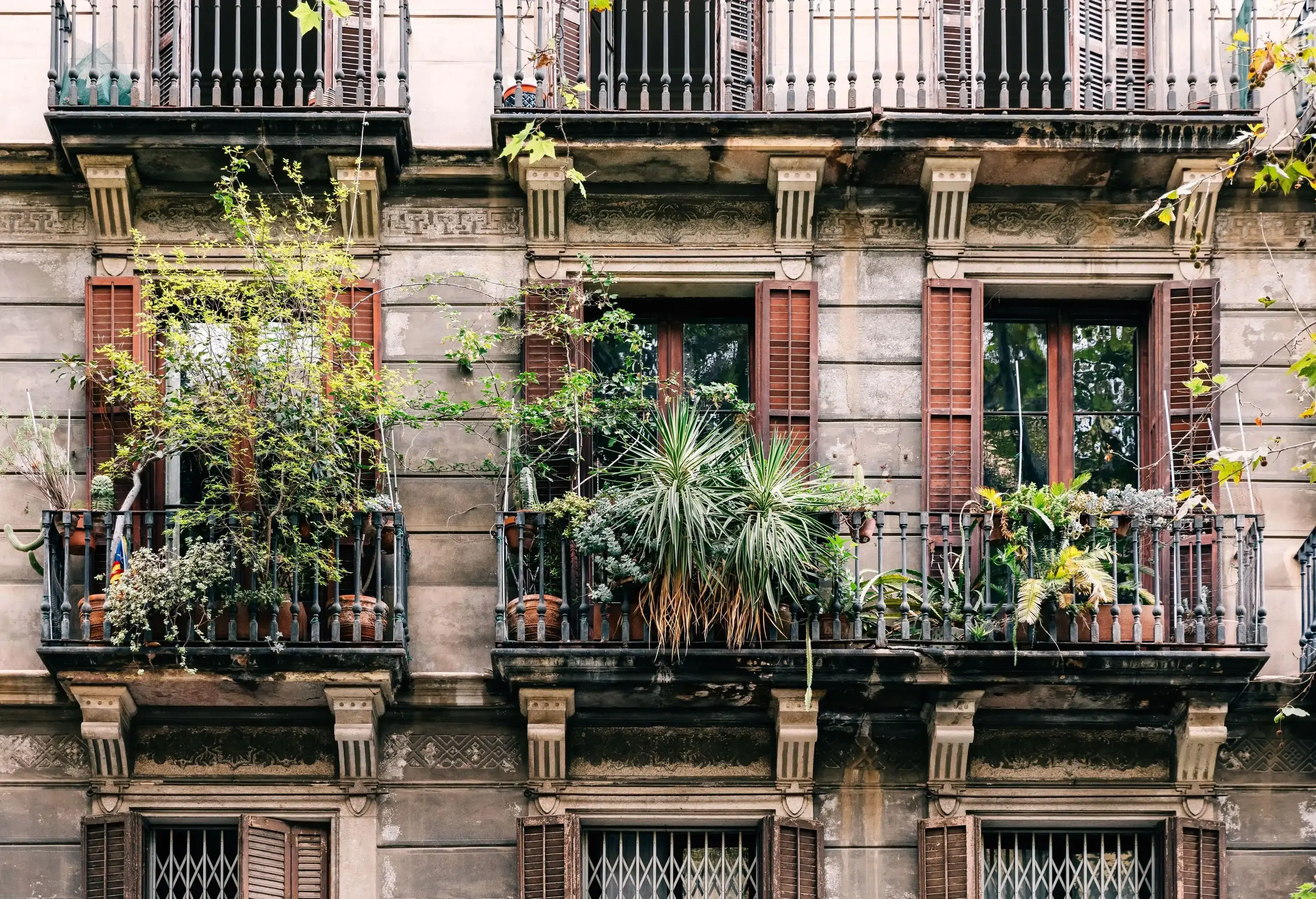 Window balconies filled with potted plants.