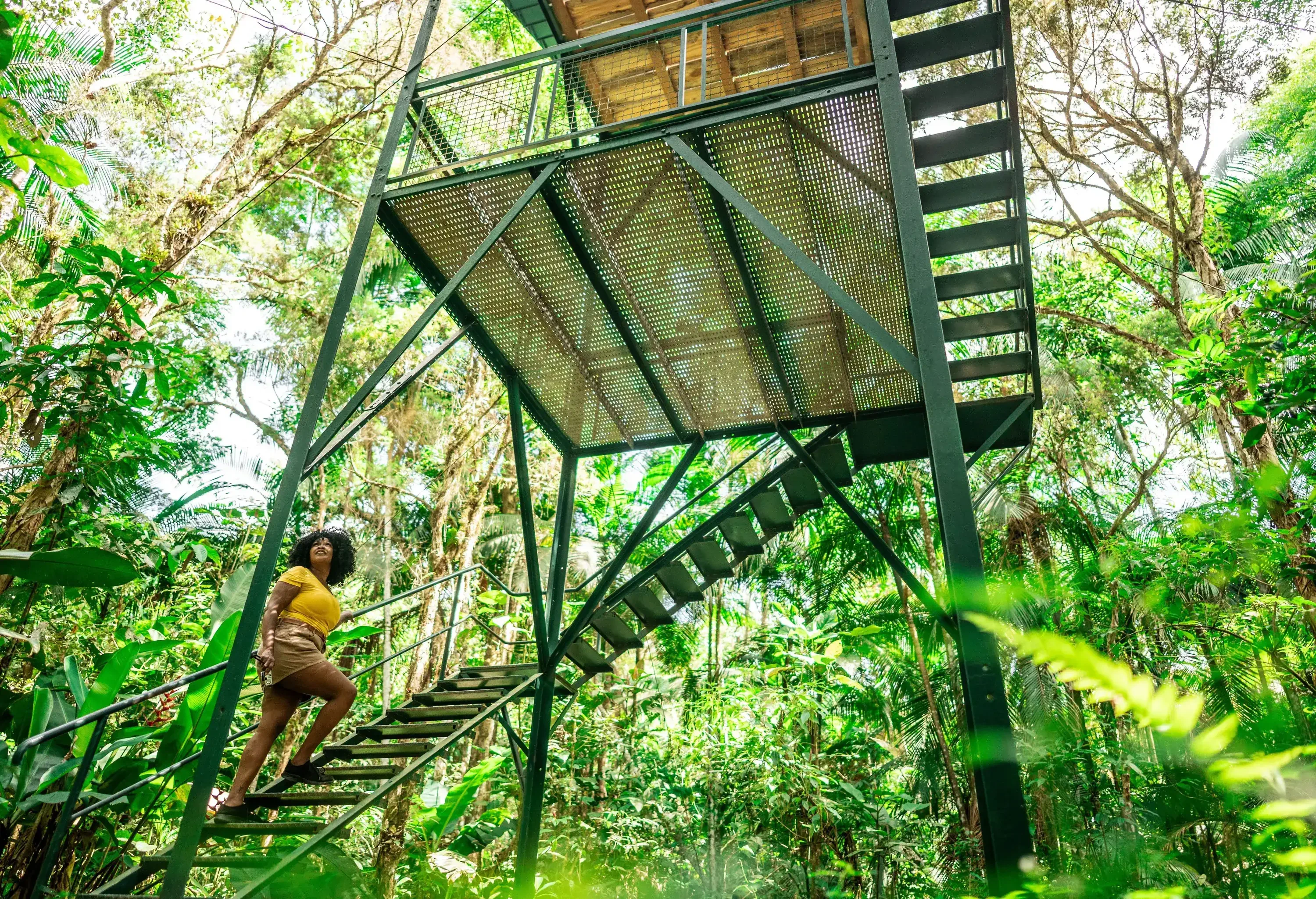 Mid adult tourist woman moving up stairs on observation tower at forest