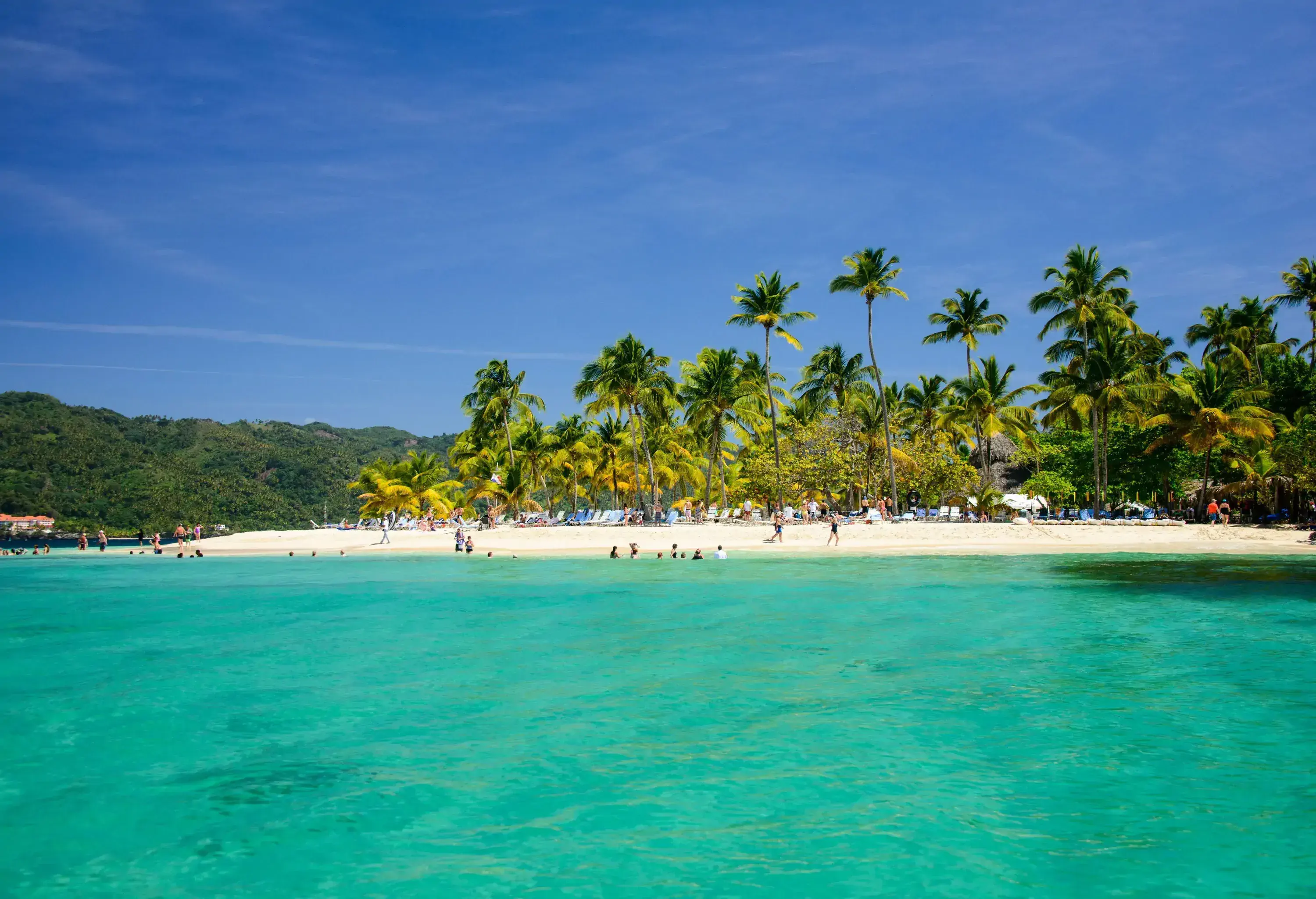 A bright blue sea with people crowding the white beach shaded by coconut trees.