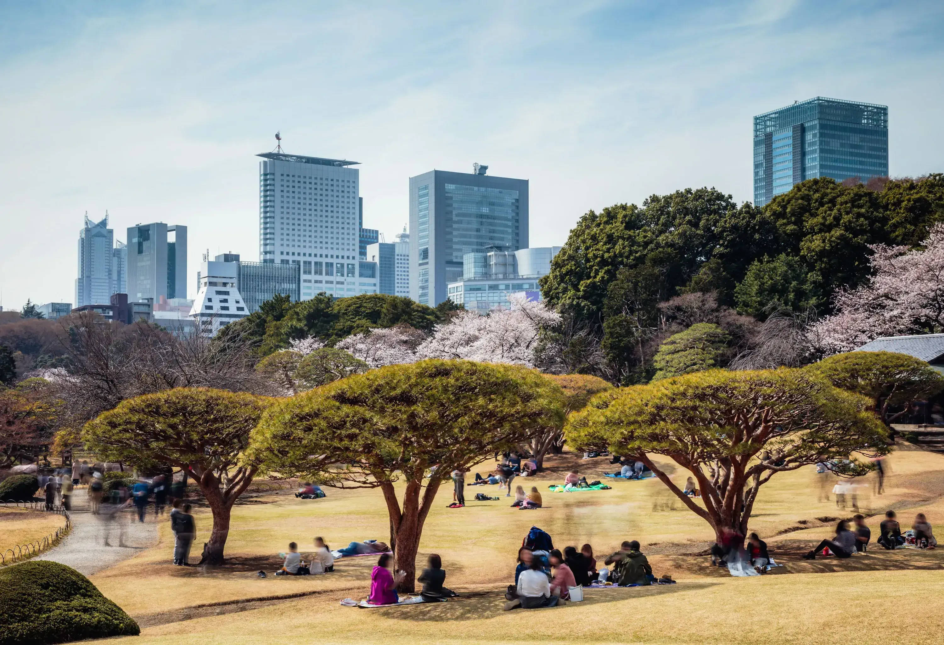 In bustling Ueno Park, groups of people enjoy a relaxing picnic under the lush trees, with a backdrop of imposing skyscrapers painting a contrasting urban scene.