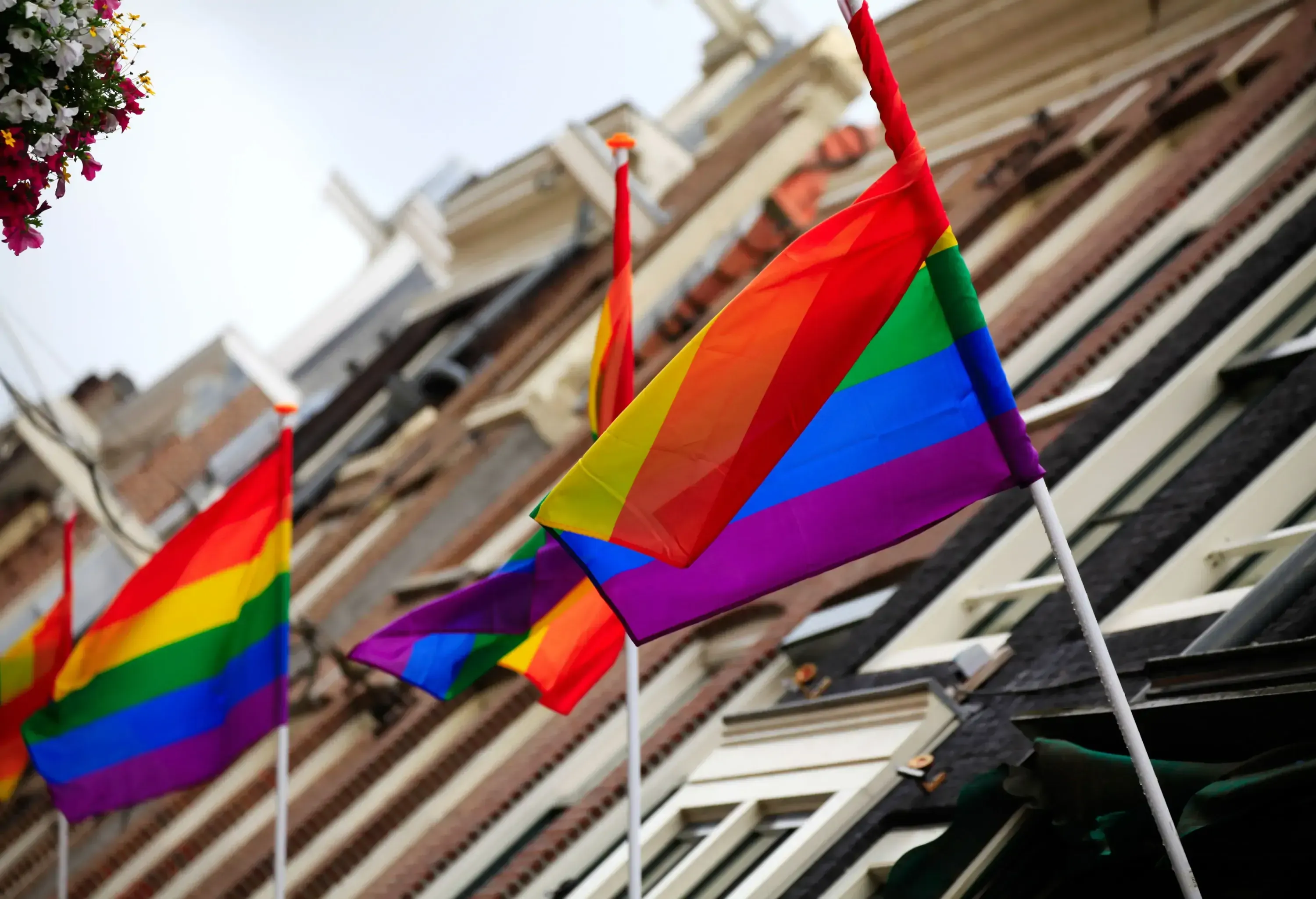 Rainbow flags hung outside the windows of a row of buildings.