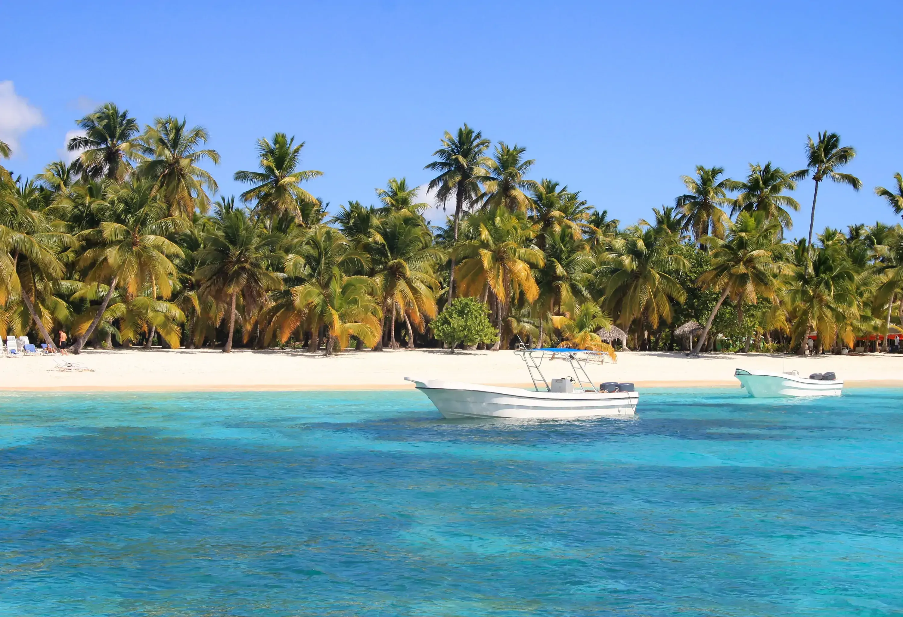 Two boats rest moored near the shore of a tranquil beach, with towering palm trees and lush tropical plants providing a verdant frame in the background.