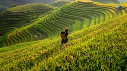 Vol Vietnam : Trouvez un billet d’avion pas cher pour Vietnam