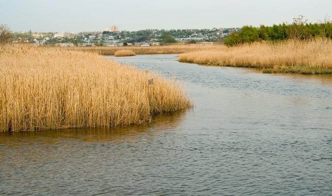 Secaucus