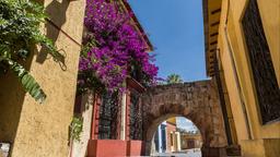 Annuaire des hôtels à Oaxaca