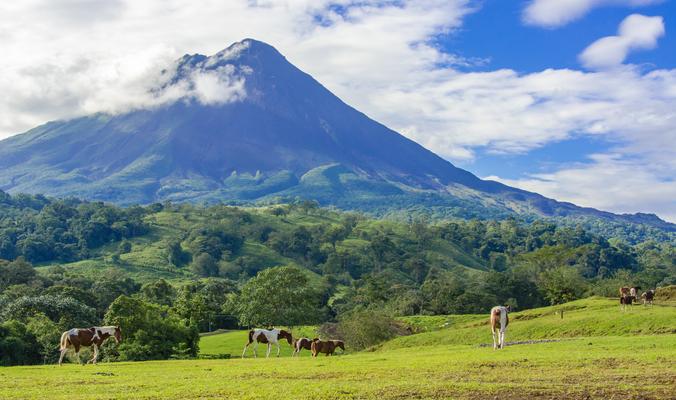 Alajuela