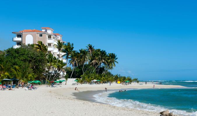 Guayacanes