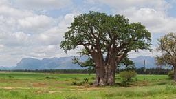 Hôtels à Hoedspruit