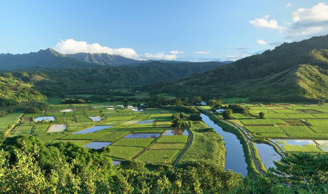 Princeville