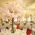 Salle de banquet