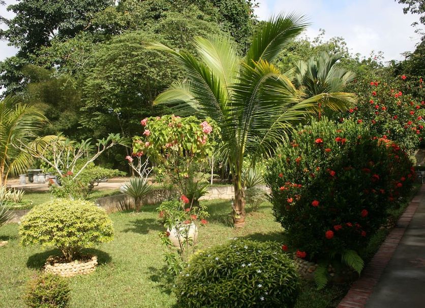 Extérieur Photo