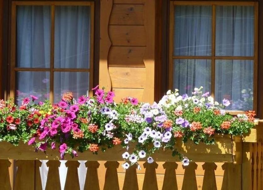 Extérieur Photo