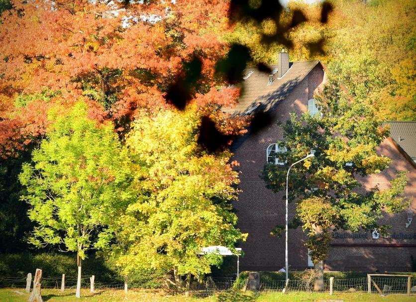 Extérieur Photo