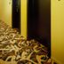 Couloir