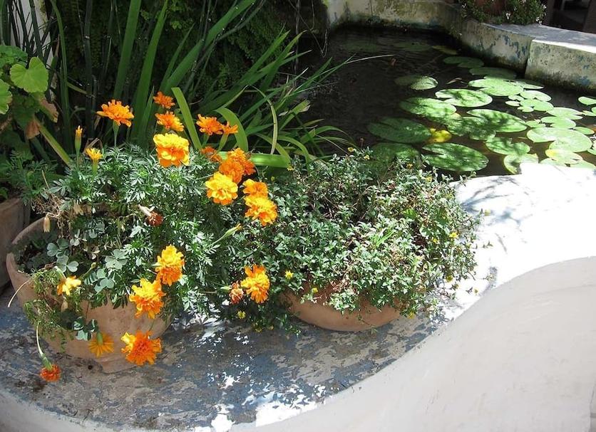 Extérieur Photo