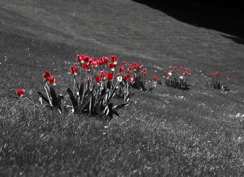 Autre Photo