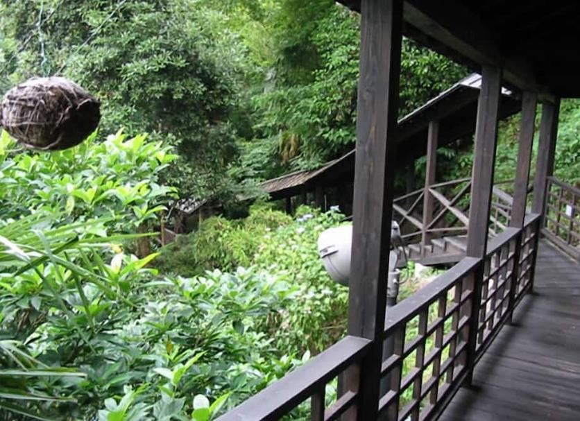Balcon Photo